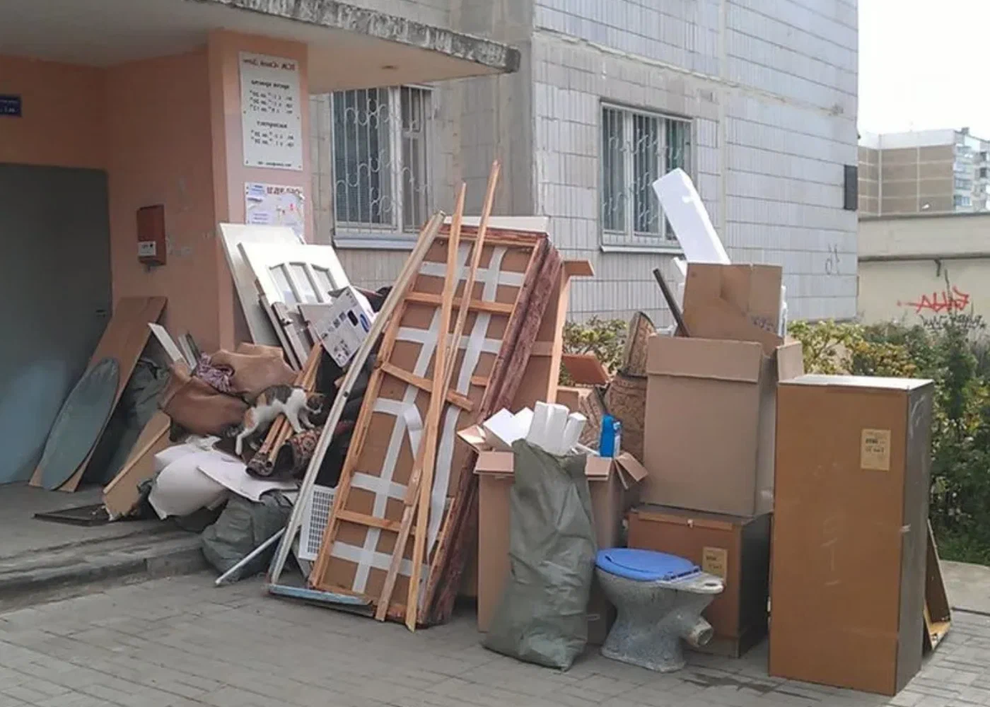 Профессиональный вывоз мусора из квартиры в Тейково в октябре