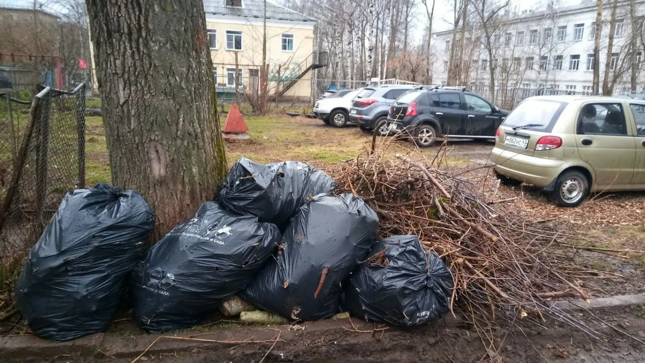 Вывоз мусора после субботника в Тейково от ПроМусор – уборка и утилизация отходов от 2555 руб