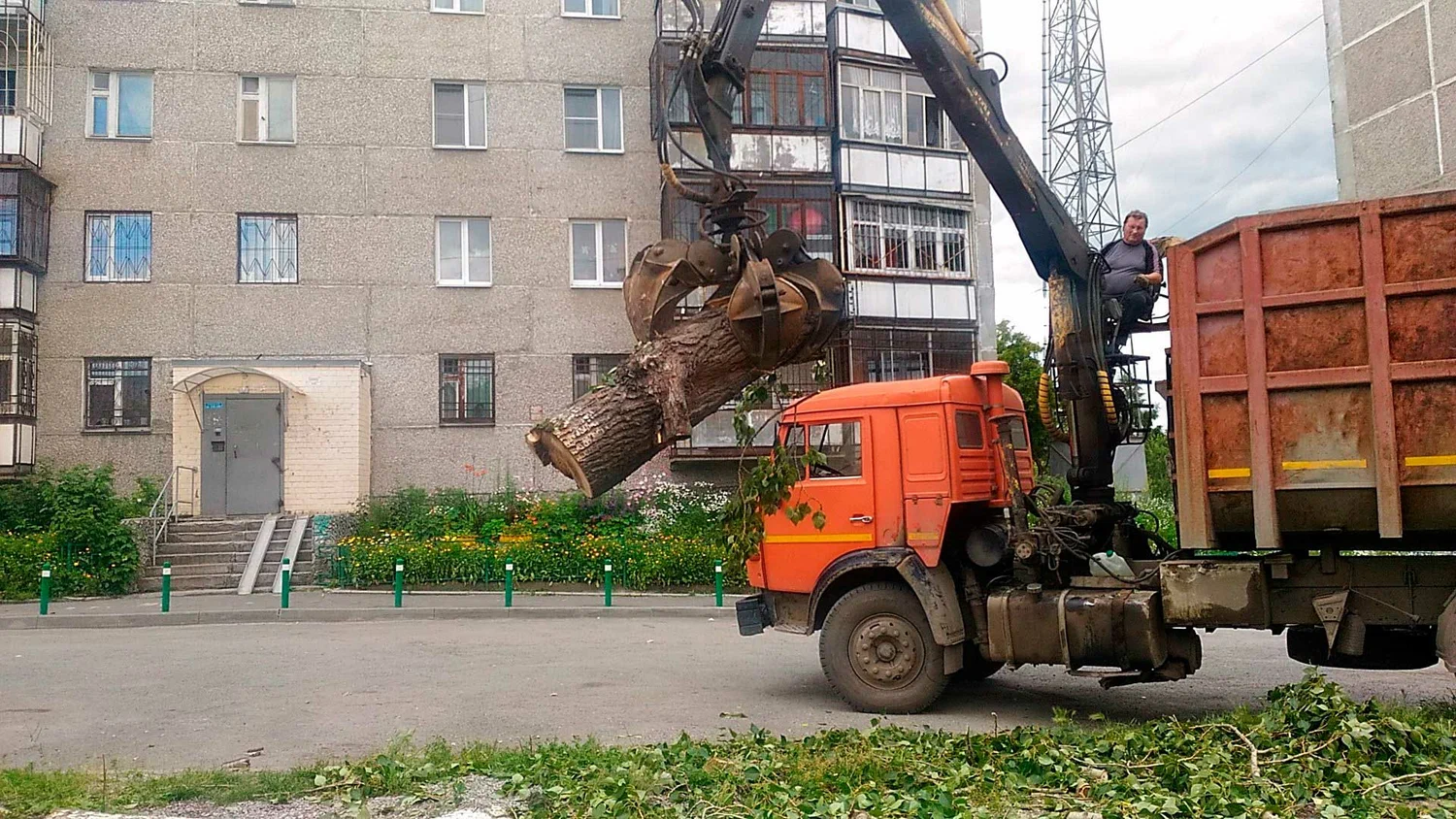 Вывоз спиленных веток и деревьев в Тейково от ПроМусор: порубочные остатки, утилизация, цена от 3153 руб