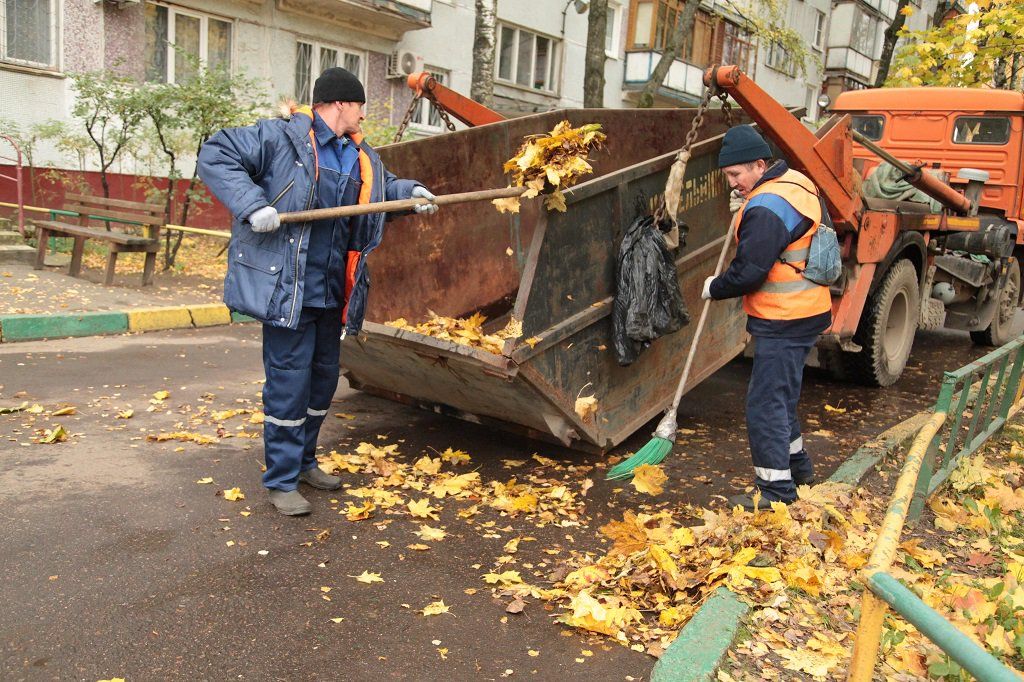 Вывоз опавшей листвы и растительного мусора в Тейково от ПроМусор – цена от 4893 руб., быстрая уборка и утилизация